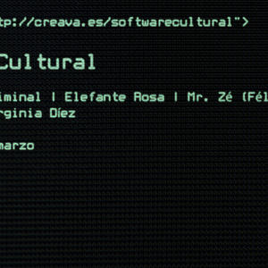 #SoftwareCultural